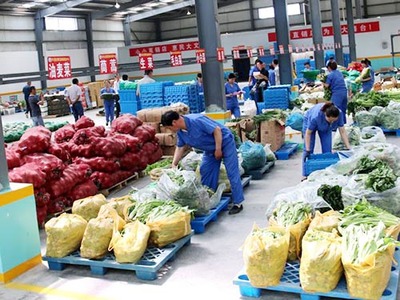 园洲蔬菜肉类配送到家，食堂送菜服务公司为您解忧