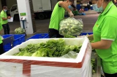 佛冈县饭堂食材配送服务公司 优质食品配送的专业选择